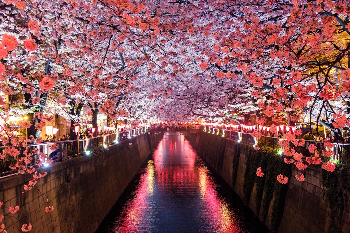 Pengalaman Jepang Sepenuhnya gallery 4